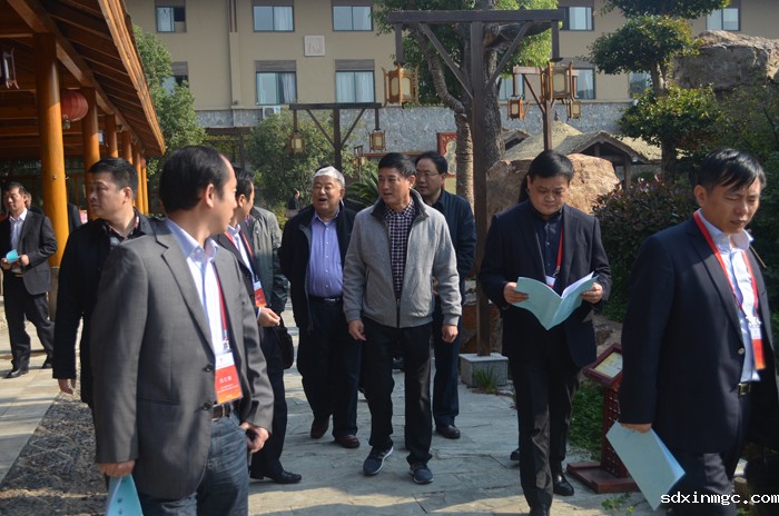 南京徽商皖江投资考察行纪实(图4)